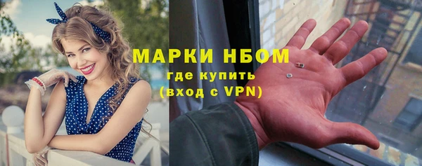 трава Бородино